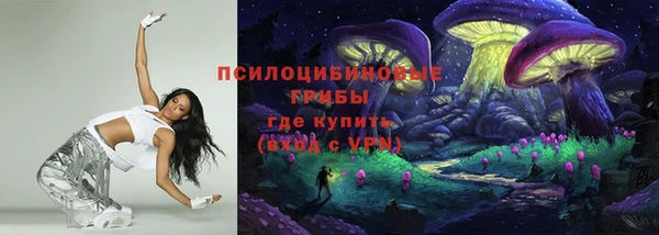 винт Арсеньев