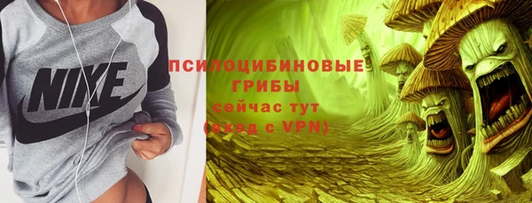 дживик Армянск