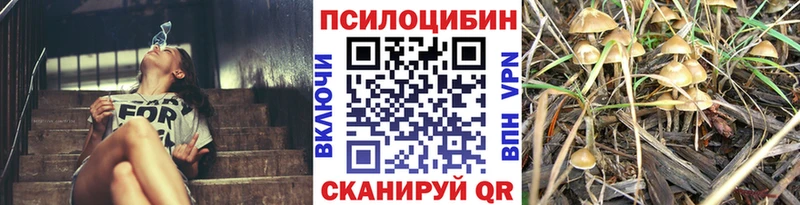 Псилоцибиновые грибы мухоморы  нарко площадка формула  Ачхой-Мартан  МЕГА как зайти 